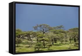 Ngorongoro Conservation Area, Tanzania-Paul Souders-Framed Stretched Canvas