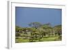 Ngorongoro Conservation Area, Tanzania-Paul Souders-Framed Photographic Print