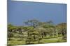Ngorongoro Conservation Area, Tanzania-Paul Souders-Mounted Photographic Print