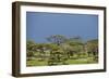 Ngorongoro Conservation Area, Tanzania-Paul Souders-Framed Photographic Print