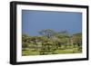 Ngorongoro Conservation Area, Tanzania-Paul Souders-Framed Photographic Print