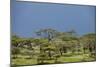 Ngorongoro Conservation Area, Tanzania-Paul Souders-Mounted Photographic Print