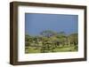 Ngorongoro Conservation Area, Tanzania-Paul Souders-Framed Photographic Print