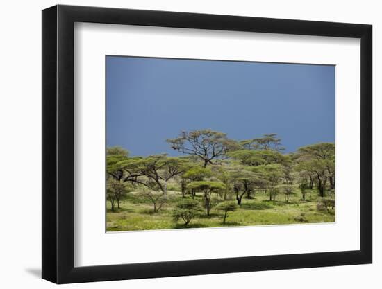 Ngorongoro Conservation Area, Tanzania-Paul Souders-Framed Photographic Print