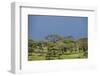 Ngorongoro Conservation Area, Tanzania-Paul Souders-Framed Photographic Print