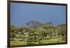 Ngorongoro Conservation Area, Tanzania-Paul Souders-Framed Photographic Print