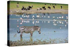 Ngorongoro-Oleg Znamenskiy-Stretched Canvas