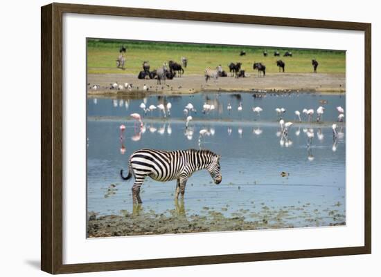 Ngorongoro-Oleg Znamenskiy-Framed Photographic Print