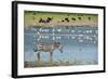 Ngorongoro-Oleg Znamenskiy-Framed Photographic Print