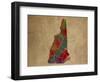 NH Colorful Counties-Red Atlas Designs-Framed Giclee Print