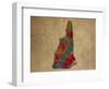 NH Colorful Counties-Red Atlas Designs-Framed Giclee Print