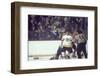 Nhl Boston Bruin Player Derek Sanderson in a Brawl Against Chicago Black Hawks-Art Rickerby-Framed Premium Photographic Print