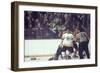 Nhl Boston Bruin Player Derek Sanderson in a Brawl Against Chicago Black Hawks-Art Rickerby-Framed Photographic Print