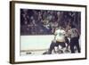 Nhl Boston Bruin Player Derek Sanderson in a Brawl Against Chicago Black Hawks-Art Rickerby-Framed Photographic Print