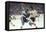 Nhl Boston Bruin Player Derek Sanderson Tripping Pittsburgh Penguin Player During Game-Art Rickerby-Framed Stretched Canvas