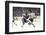 Nhl Boston Bruin Player Derek Sanderson Tripping Pittsburgh Penguin Player During Game-Art Rickerby-Framed Photographic Print