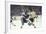 Nhl Boston Bruin Player Derek Sanderson Tripping Pittsburgh Penguin Player During Game-Art Rickerby-Framed Photographic Print