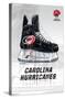 NHL Carolina Hurricanes - Drip Skate 21-Trends International-Stretched Canvas