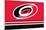 NHL Carolina Hurricanes - Logo 21-Trends International-Mounted Poster