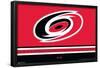 NHL Carolina Hurricanes - Logo 21-Trends International-Framed Poster