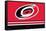 NHL Carolina Hurricanes - Logo 21-Trends International-Framed Stretched Canvas