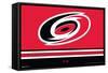 NHL Carolina Hurricanes - Logo 21-Trends International-Framed Stretched Canvas