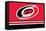 NHL Carolina Hurricanes - Logo 21-Trends International-Framed Stretched Canvas