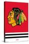 NHL Chicago Blackhawks - Logo 21-Trends International-Stretched Canvas