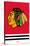 NHL Chicago Blackhawks - Logo 21-Trends International-Stretched Canvas