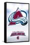 NHL Colorado Avalanche - Logo 17-Trends International-Framed Stretched Canvas