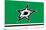 NHL Dallas Stars - Logo 21-Trends International-Mounted Poster