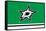 NHL Dallas Stars - Logo 21-Trends International-Framed Stretched Canvas