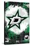 NHL Dallas Stars - Maximalist Logo 23-Trends International-Stretched Canvas