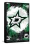 NHL Dallas Stars - Maximalist Logo 23-Trends International-Framed Stretched Canvas