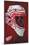 NHL Detroit Redwings - Mask 16-Trends International-Mounted Poster