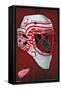 NHL Detroit Redwings - Mask 16-Trends International-Framed Stretched Canvas