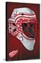 NHL Detroit Redwings - Mask 16-Trends International-Stretched Canvas