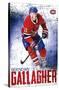 NHL Montreal Canadiens - Brendan Gallagher 18-Trends International-Stretched Canvas