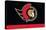 NHL Ottawa Senators - Logo 21-Trends International-Stretched Canvas