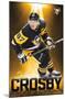 NHL Pittsburgh Penguins - Sidney Crosby 18-Trends International-Mounted Poster