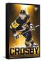 NHL Pittsburgh Penguins - Sidney Crosby 18-Trends International-Framed Stretched Canvas