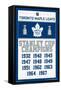 NHL Toronto Maple Leafs - Champions 16-Trends International-Framed Stretched Canvas