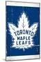 NHL Toronto Maple Leafs - Retro Logo 16-Trends International-Mounted Poster