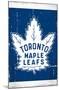 NHL Toronto Maple Leafs - Retro Logo 16-Trends International-Mounted Poster