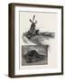 Niagara District, Old Fort Erie, and Windmill, Canada, Nineteenth Century-null-Framed Giclee Print