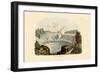 Niagara Falls, 1833-39-null-Framed Giclee Print