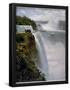 Essential Black