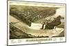 Niagara Falls, New York - Panoramic Map-Lantern Press-Mounted Premium Giclee Print