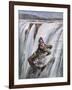 Niagara Falls, Rum Runner-Aldo Molinari-Framed Art Print