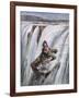 Niagara Falls, Rum Runner-Aldo Molinari-Framed Art Print